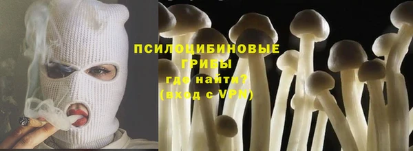 трава Арсеньев